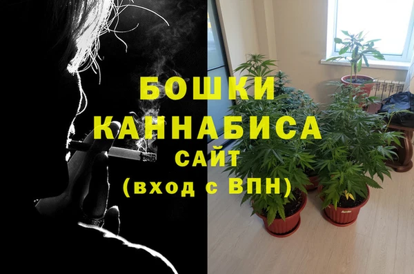 прущая мука Горняк