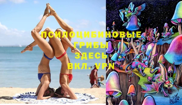 прущая мука Горняк