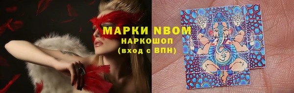 прущие грибы Володарск